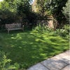 Photo 8: Garden