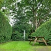 Photo 8: Garden with seating area