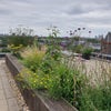 Photo 8: Roof terrace