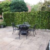 Photo 7: Top Garden
