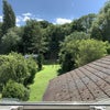 Photo 6: view from bedroom window