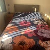 Photo 6: Three quarter bed