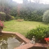 Photo 2: Garden