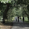 Photo 9: Downhills Park- 2 mins walk