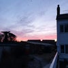 Photo 7: Back yard