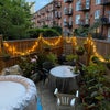 Photo 6: The garden
