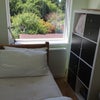 Photo 3: Bedroom 3