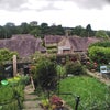Photo 5: the back garden