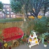 Photo 8: Dusk on the terrace