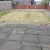 Photo 9: Garden