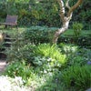 Photo 3: garden view from your bedroom