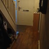 Photo 7: Hallway