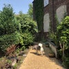 Photo 6: Extended garden 