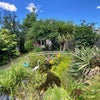Photo 4: Beautiful Garden with Pond