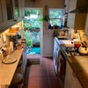 Photo 6: kitchen leading out to garden