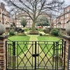 Photo 8: Shared garden