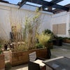 Photo 7: Large Enclosed Garden