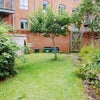 Photo 9: garden