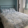 Photo 1: Bright airy bedroom