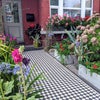 Photo 3: Front garden