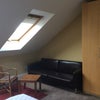 Photo 3: Room