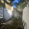 Photo 7: Garden
