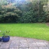 Photo 5: Backyard