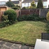 Photo 5: Sunny garden 