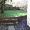Photo 5: Garden