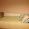 Photo 5: Bedroom