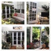 Photo 5: Conservatory