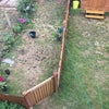 Photo 9: Garden (left side)