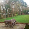Photo 2: garden view