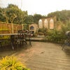 Photo 6: Outdoor Oasis