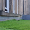 Photo 3: Your garden balcony