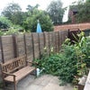 Photo 3: small but cozy garden