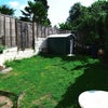 Photo 7: Garden