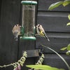 Photo 7: Goldfinches are always in the garden