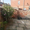 Photo 6: back yard