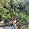 Photo 3: Garden