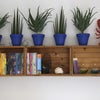 Photo 5: Room detail