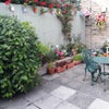 Photo 6: Garden - South Facing