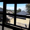 Photo 5: Huge window gives great view and make room lovely and light 