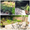 Photo 7: Garden