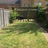 Photo 7: Back garden