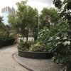 Photo 9: Community garden 