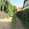 Photo 8: View showing driveway to parking area