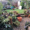 Photo 6: Garden