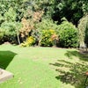 Photo 7: Large sunny garden