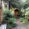 Photo 4: Garden View